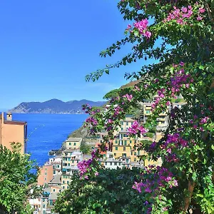 Hébergement de vacances 5 Terre For, Riomaggiore